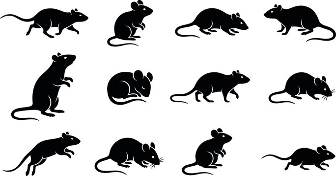 Collection of black silhouettes depicting various poses of small common house mice on a white background
