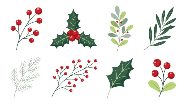 Christmas Tree Branches with Red Holly Berries and Green Leaves, Festive Winter Holiday Decoration, Nature Vector Illustration for Christmas Cards and Seasonal Design