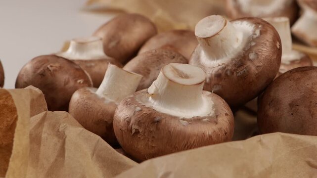 fresh portobello mushrooms zoom background harvest food
