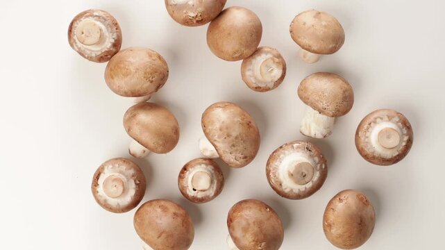 hand put mushrooms on light surface harvest cooking food.
