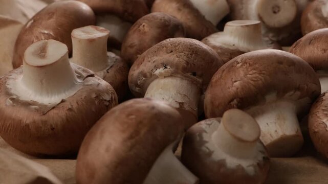 rotation portobello mushrooms brown background harvest food