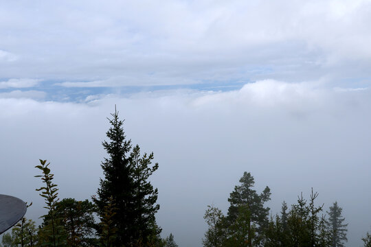 Fog in the valley
