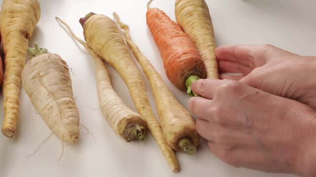 winter vegetables parsnip carrot on ligt surface food