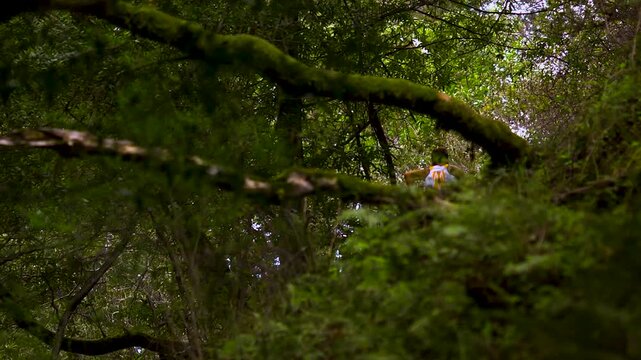 Athlete running off into the forest