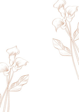 Elegant calla lily botanical line art frame background design