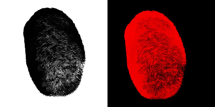 Realistic human fingerprint impression rendered in black ink detail for forensic identification and biometric security verification concepts.