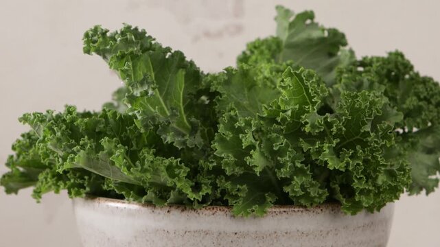 fresh organic kale leaves in bowl clean eating concept zoom
