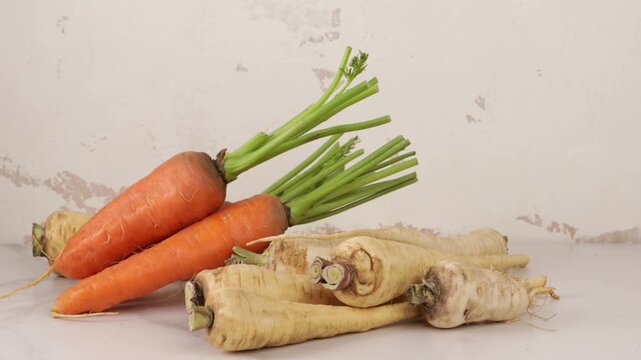 still life carrot pasnip roots on ligt surface harvest concept