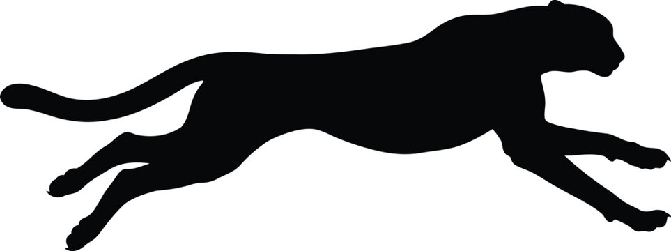 Black silhouette of a fast running cheetah jumping in full speed