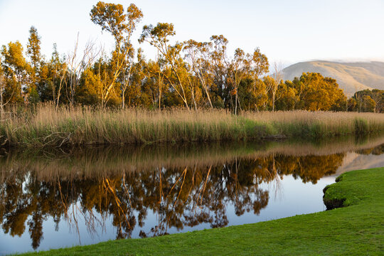 river reeds, reflections and Klein River and Mountains at sunrise, Stanford, South Africa