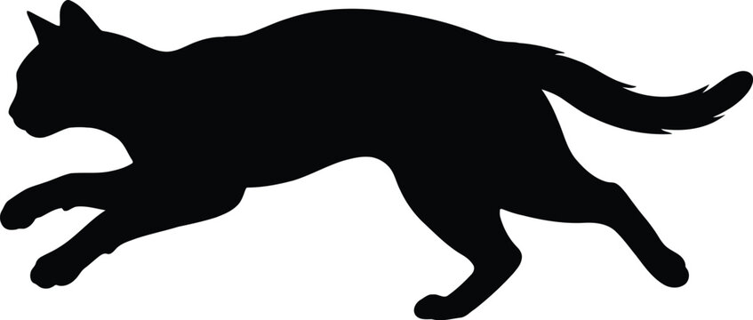 Black silhouette of a playful cat running or jumping with speed in a dynamic pose