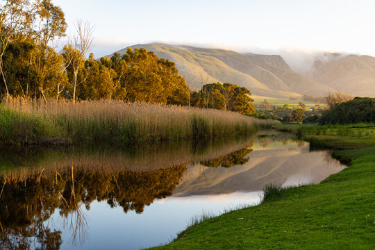 river reeds, reflections and Klein River and Mountains at sunrise, Stanford, South Africa