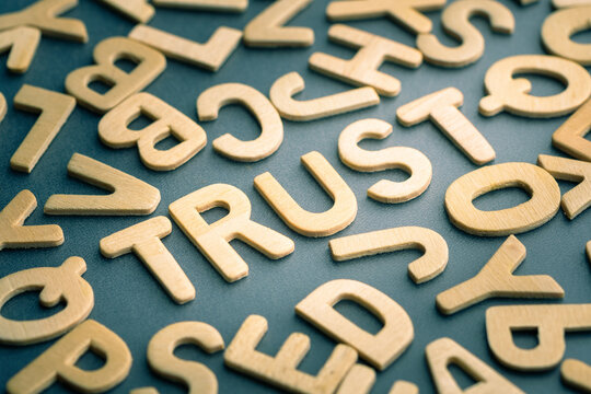 Finding Trust Among Confusion and Uncertainty