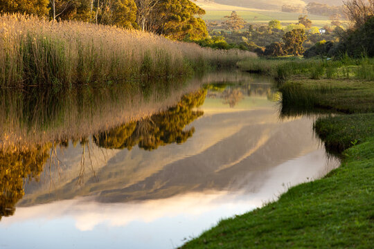 river reeds, reflections and Klein River and Mountains at sunrise, Stanford, South Africa
