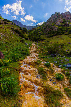 Mountain iron rich stream flowing over orange-yellow oxidizing bacteria deposits.