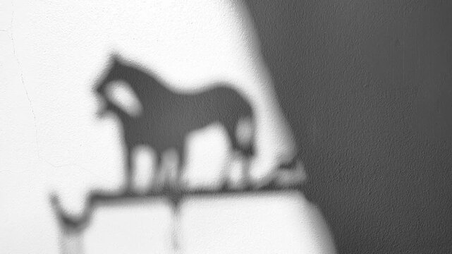 Horse weather vane shadow swaying gently on white concrete wall background, vintage gobo overlay concept