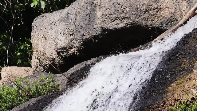 A close up view of a water shrews jumping in a waterfall and then disappearing behind the rocks.