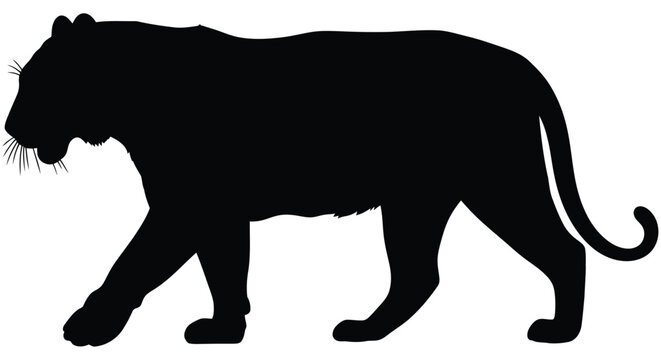 Black silhouette of a walking tiger against a white background