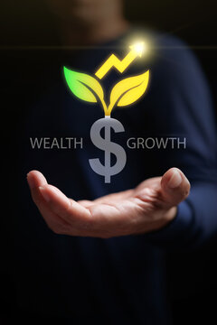 Hand holding sign sprout with leaves and upward trending arrow with wealth growth text. Financial investment, capital appreciation, sustainable return on investment and management. Vertical photo.