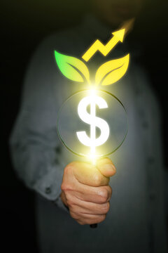 Hand holding magnifying glass with dollar sign sprout with leaves and upward arrow. Financial audit, investment analysis, capital growth inspection, and wealth management evaluation. Vertical photo.