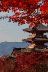 Obraz premium 紅葉に包まれた京都・清水寺