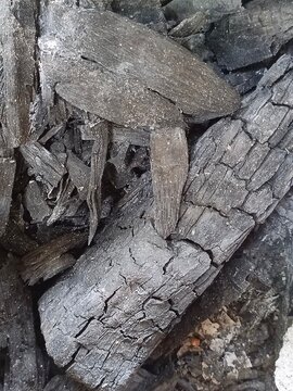 Close-up texture of charred wood logs and grey ash from an extinguished fire.