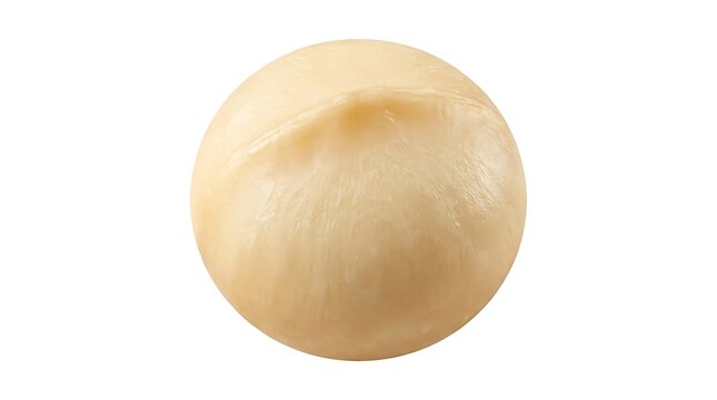 Fresh raw macadamia nut kernel isolated on a pure white background close up macro shot studio lighting