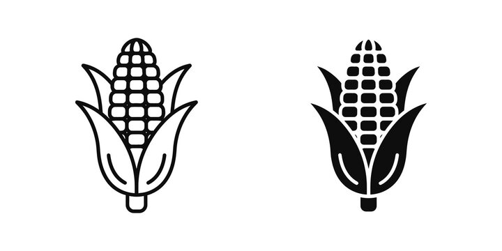 Fresh corn cob vegetable icon set in outline and glyph formats.