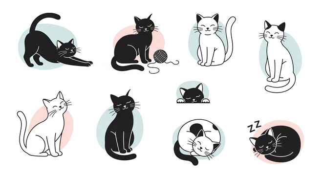 Adorable Feline Collection Various Poses Playful and Relaxed Cats.