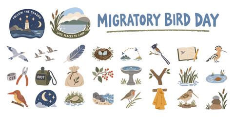 渡り鳥と野鳥観察の手描きイラストセット、飛翔・湿地・保護活動／Migratory Birds、Birdwatching、Wetland、Wildlife Conservation © MEG-MEG