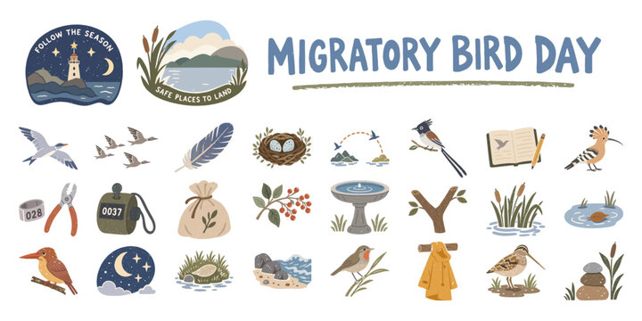渡り鳥と野鳥観察の手描きイラストセット、飛翔・湿地・保護活動／Migratory Birds、Birdwatching、Wetland、Wildlife Conservation