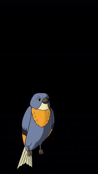 Animated Little Bird Perched Chirping Alpha Channel Footage
