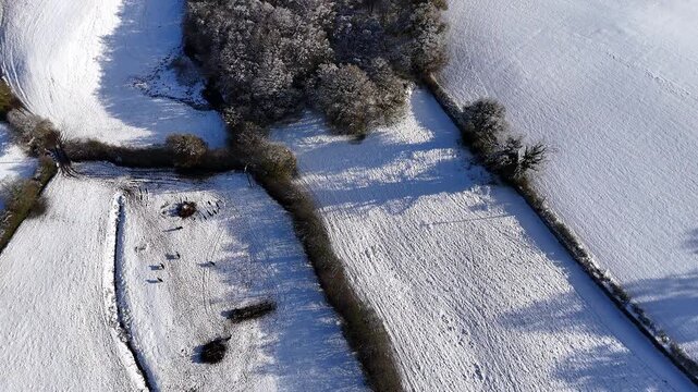 Snowy Trees and Country Track Aerial