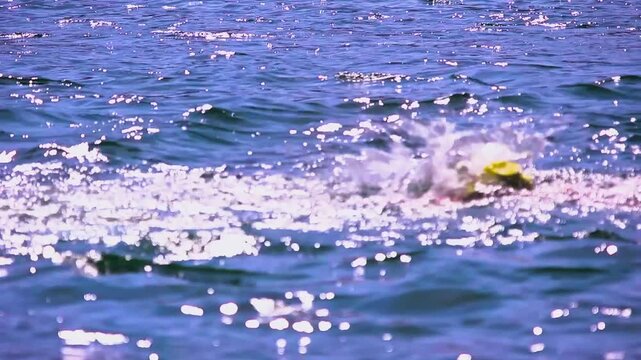 Close up of swimmer athletes racing by in a lake