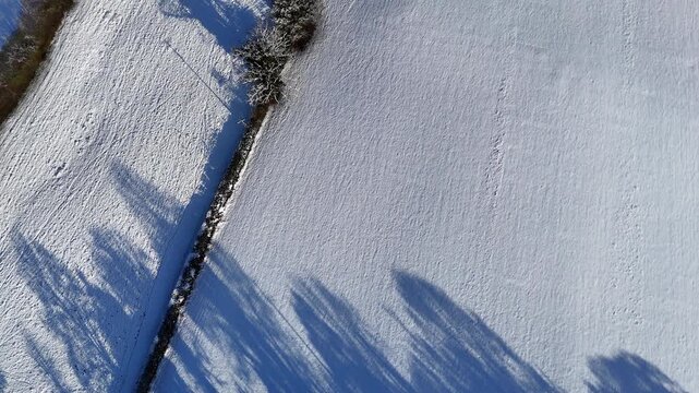 Snowy Field Boundaries and Woodland Aerial