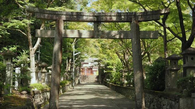 鳥居と石灯籠が建つ神社の参道