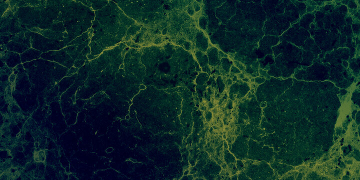 Deep emerald green marble with yellowish veins, abstract stone texture, 88 characters