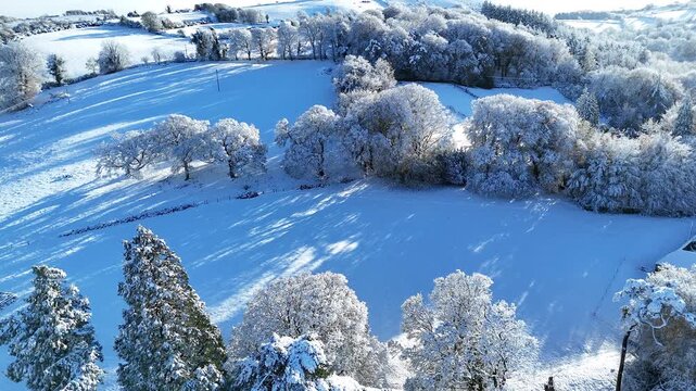 Snowy Rural Road and Frosted Trees