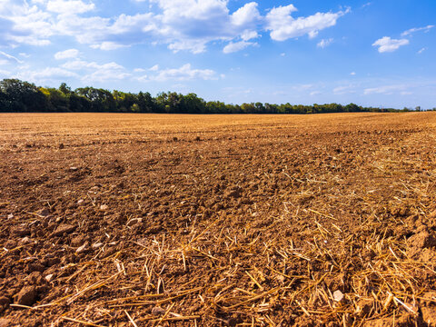 Wide view of tilled agricultural field. A large area of prepared soil is shown under a blue sky with clouds.