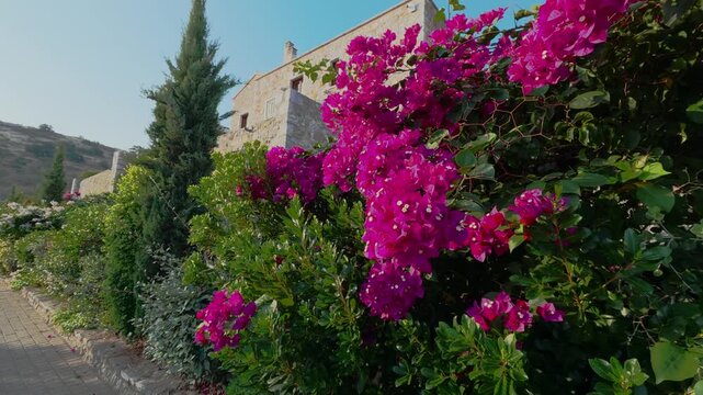 100 rizes hotel in Lakonia, Peloponnese, Greece