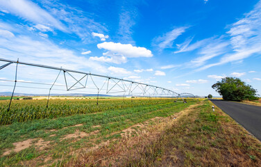 Long central pivot sprinkler pipe along rural asphalt road. Wide landscape view shows metal irrigation boom extending near green crop field under blue sky. © Анна Терелюк
