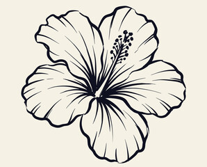 Hibiscus flower, tropical blossom, black ink line art, hand drawn botanical sketch, minimalist floral illustration, hawaiian aloha bloom © srina