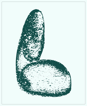 Rough linocut style lingam symbol in deep teal with speckled distressed texture. The phallic silhouette, a fertility emblem or cock glyph in folk art, sits isolated on transparency.