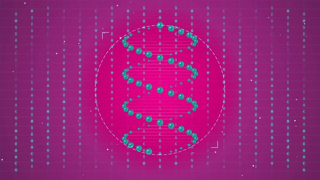 Rotating DNA double helix model with digital data on a purple background