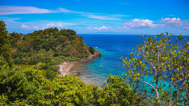 Tropical island coastline with lush forest and a vibrant blue sea. Apo Island, Philippines
