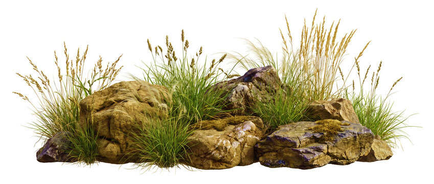 Rocks with wild grass and moss with semi-transparent detail on a transparent background, ready to overlay on photos and combine with other elements in layouts without removing a solid background