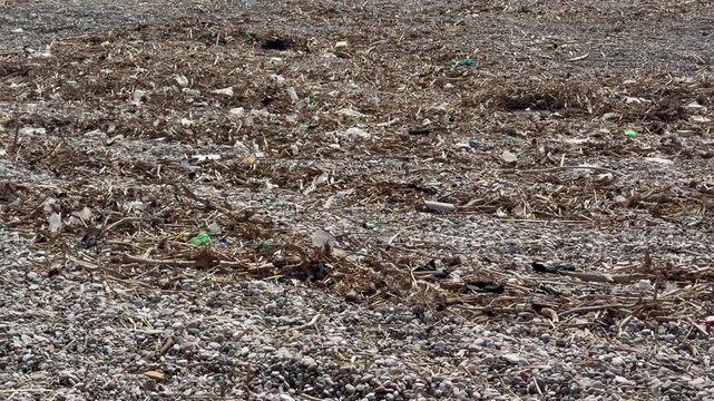 Plastic pollution on a beach with trash and plastic bottles discarded on the coast. Marine plastic pollution, coastal environmental crisis, ocean trash, microplastic threat, post-storm beach litter