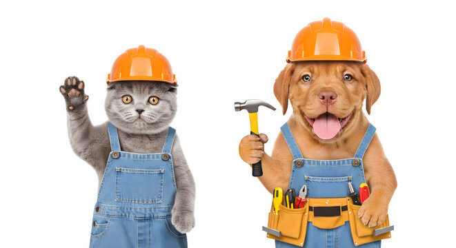Cheerful kitten and puppy construction workers wearing protective yellow helmets and denim overalls holding tools for home improvement projects