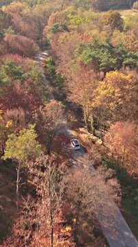 Aerial view family van car driving through fall forest