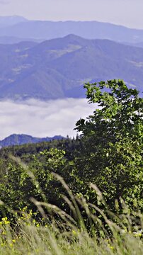 Landscape view of valley from a mountain